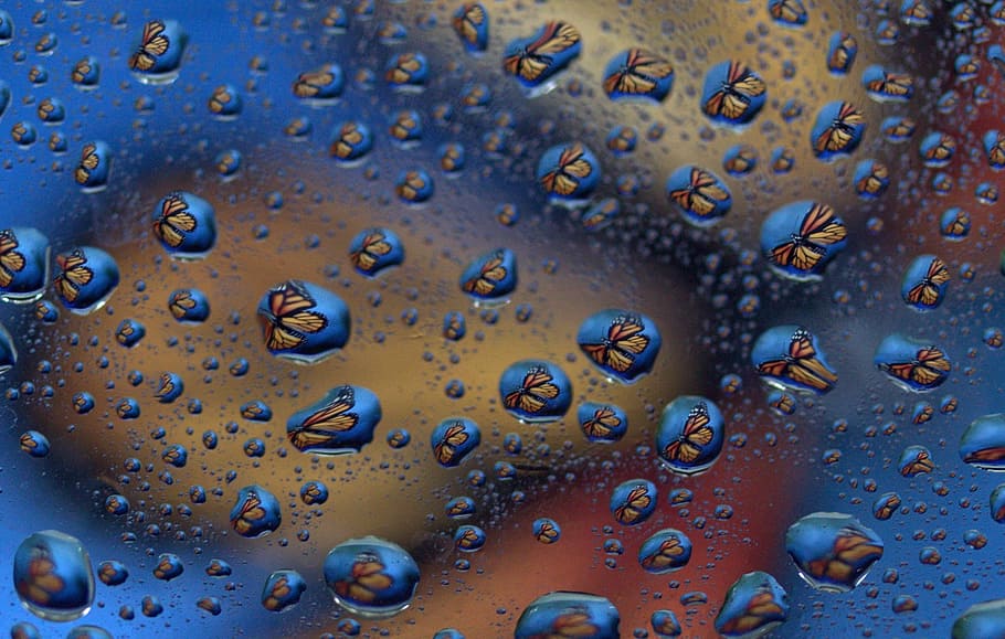 drops, reflection, water, rain, wet, close-up, nature, no people HD wallpaper