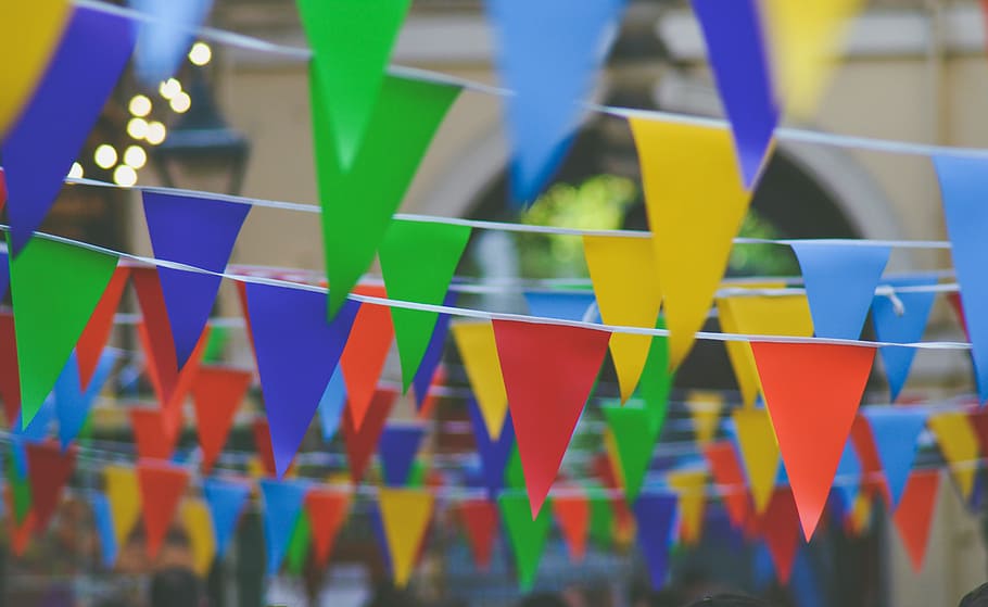 multicolored buntings photo, multi Colored, blue, selective focus HD wallpaper