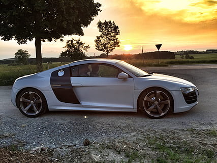 gray and black Audi R8 coupe parked near black leaf tree, v10 HD wallpaper