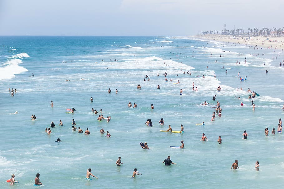 people at beach under clear blue sky, swimming, water, grey HD wallpaper