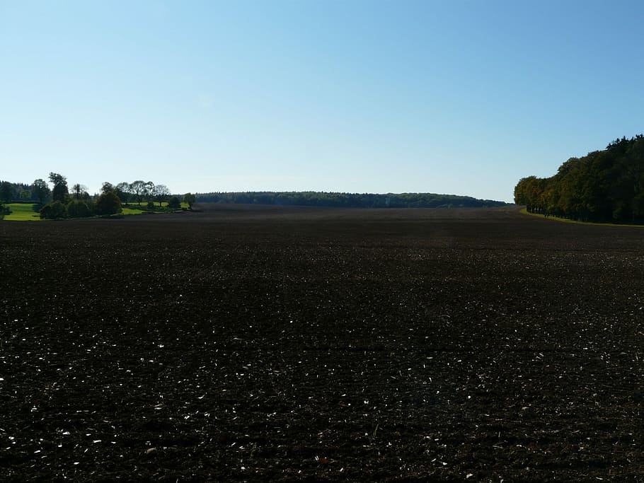 Arable, Field, Ground, fruitful, agriculture, cultivate, cultivation HD wallpaper