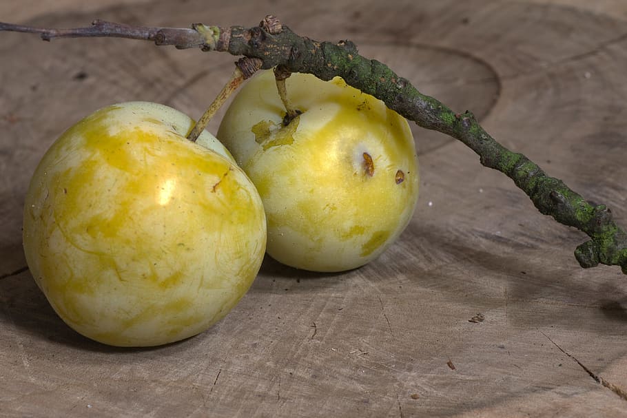 Fruit, Ripe, Plums, Yellow, Branch, greengage, food, freshness HD wallpaper
