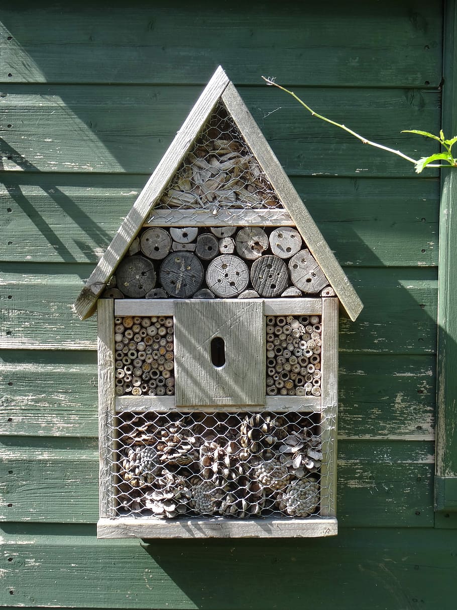 Insect, House, Bee, Wasp, Nature, insect house, nesting, wooden HD wallpaper