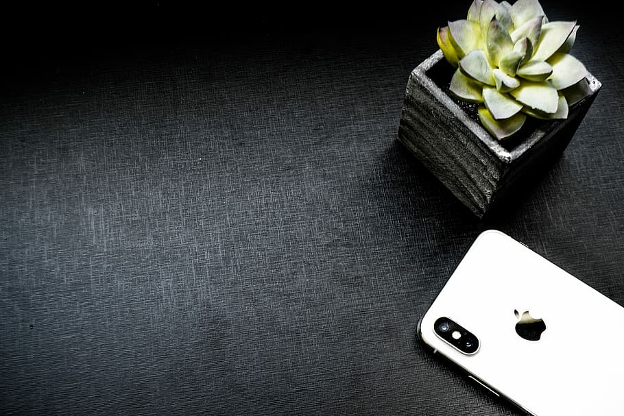 silver iPhone X beside succulent plant pot, table, cellular, juicy, HD wallpaper