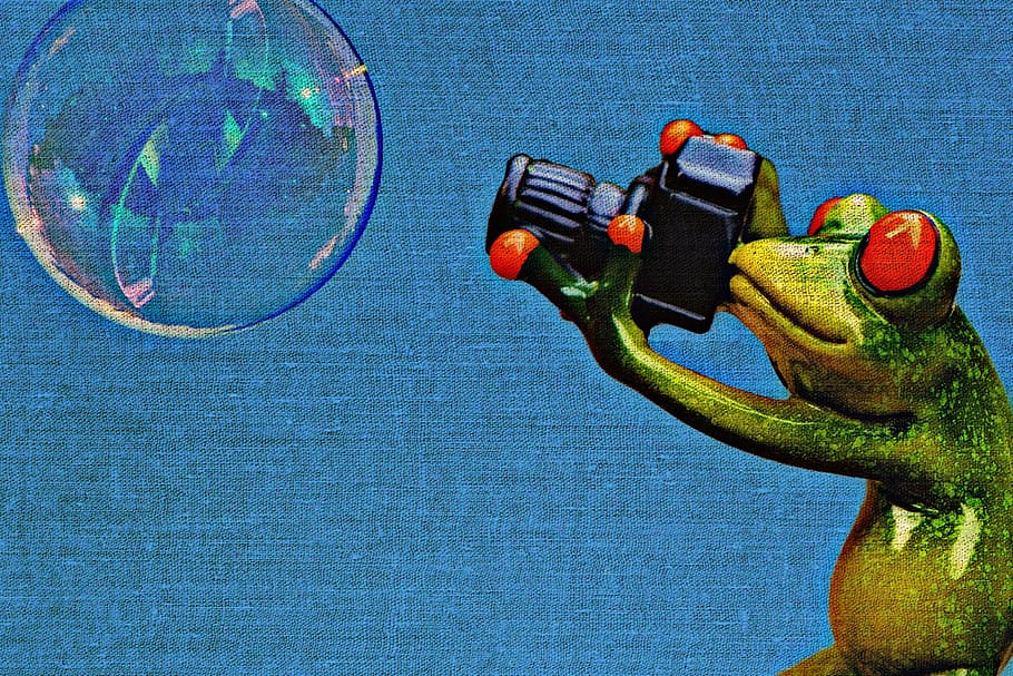 frog, soap bubble, photographer, tissue, fabric, structure HD wallpaper