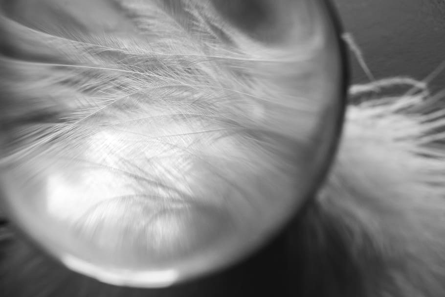 magnified white feather, glass ball, ease, airy, spring dress HD wallpaper