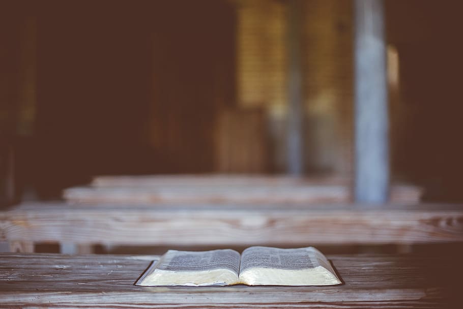 book page open on table, opened book on tabletop, bench, bible HD wallpaper