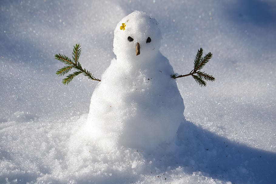 snowman photography, snow man, winter, cold temperature, nature HD wallpaper