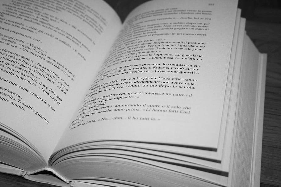 book, page, pages, open book, history, written, publication HD wallpaper