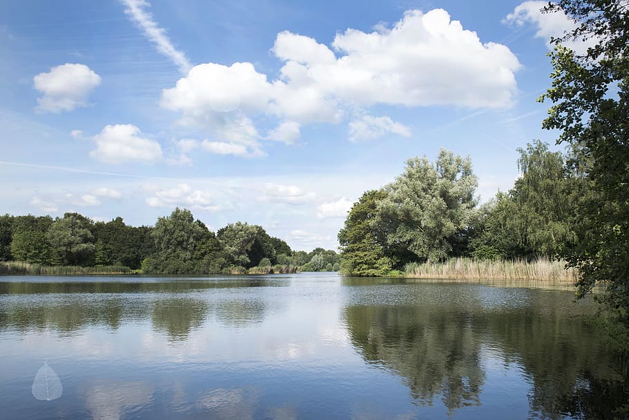 pond, water, clouds, lake, reflection, landscape, tree, plant HD wallpaper