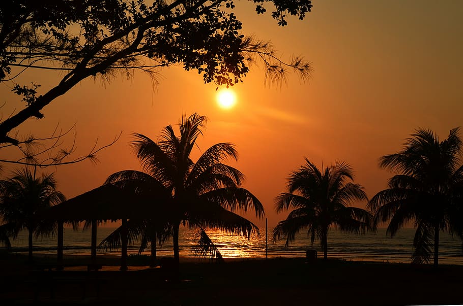 silhouette photo of palm trees near body of water, sunset, sea HD wallpaper