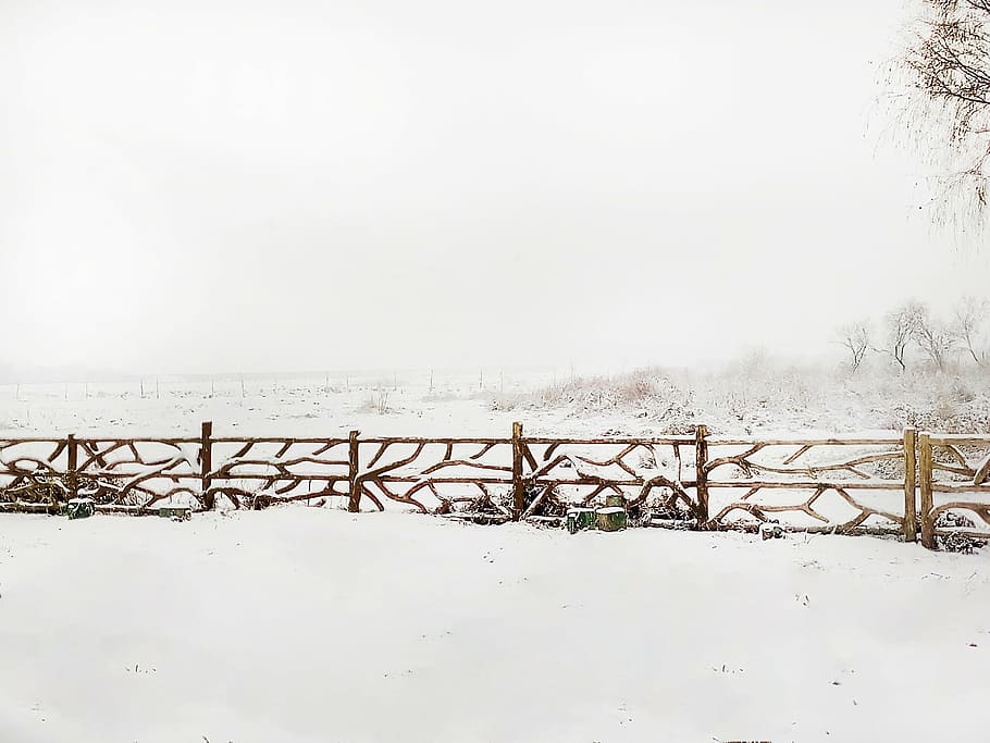 snow, header, the scenery, winter, cold temperature, nature HD wallpaper