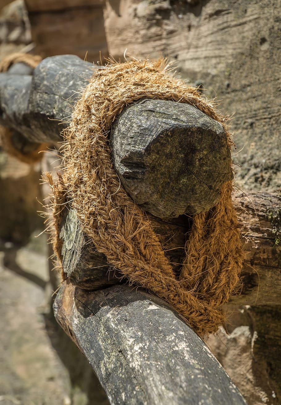 Railing, Rope, Jungle, Background, Wood, nature, dry wood, tree HD wallpaper