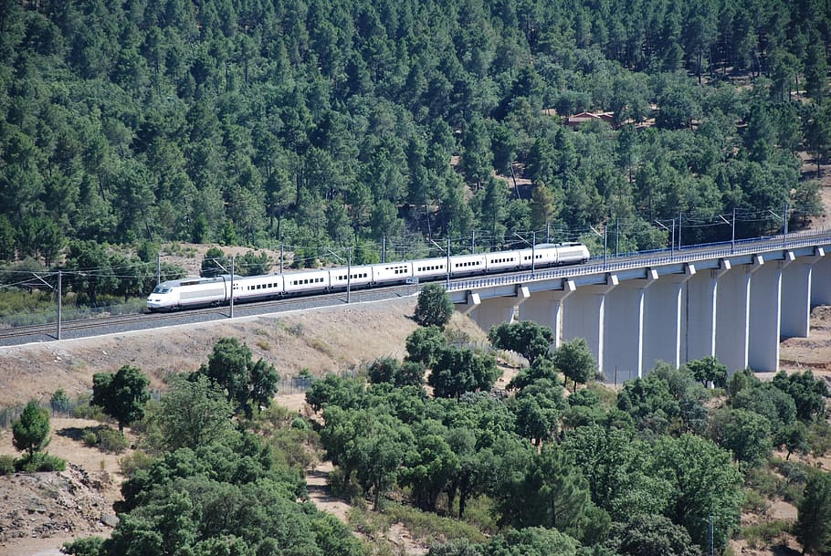 mines fork, train, infrastructure, tree, plant, transportation HD wallpaper