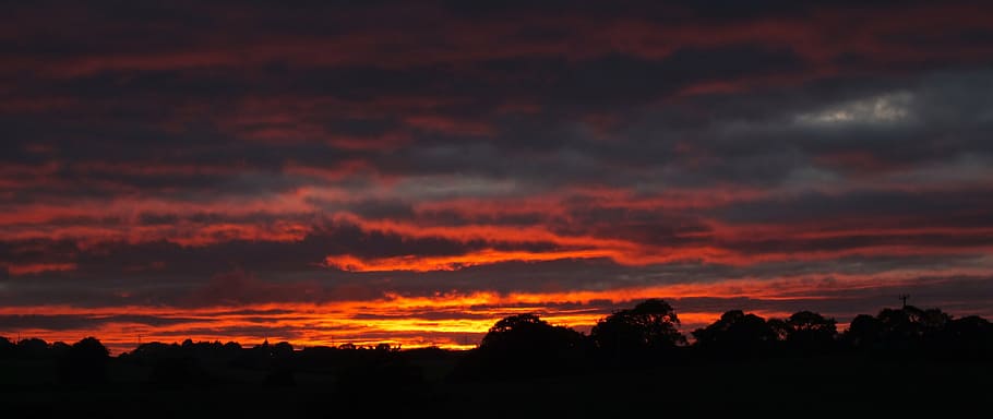 sunset, fire, in, the, sky, trees, landscape, nature, evening HD wallpaper