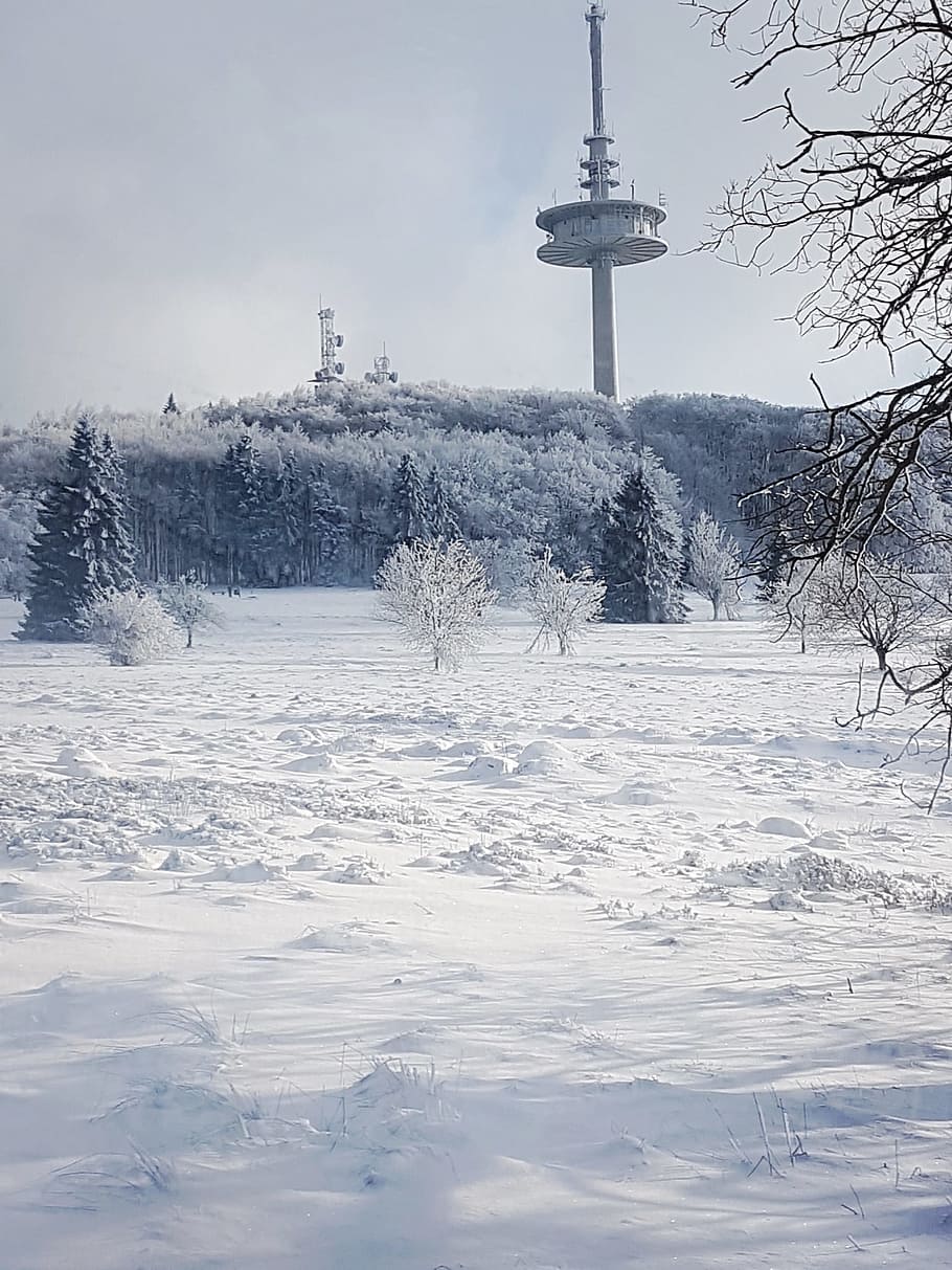 winter, snow, cold, landscape, snow white, cold temperature HD wallpaper