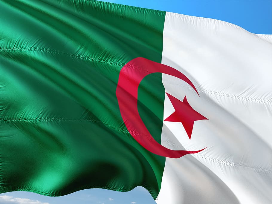 international, flag, algeria, patriotism, wind, red, environment