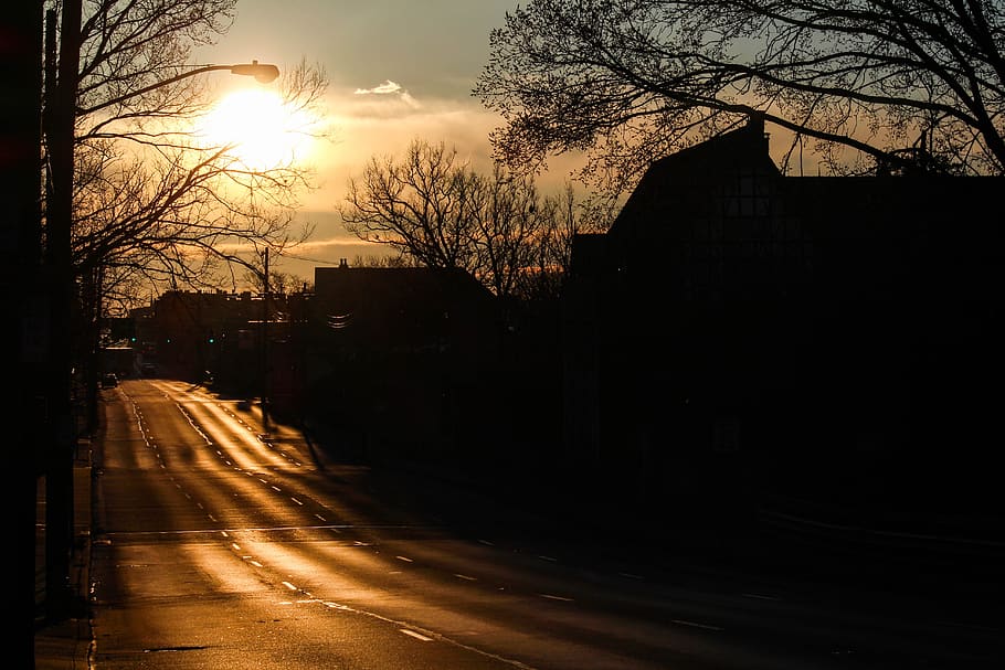 nature, dawn, tree, sunset, light, building exterior, architecture HD wallpaper