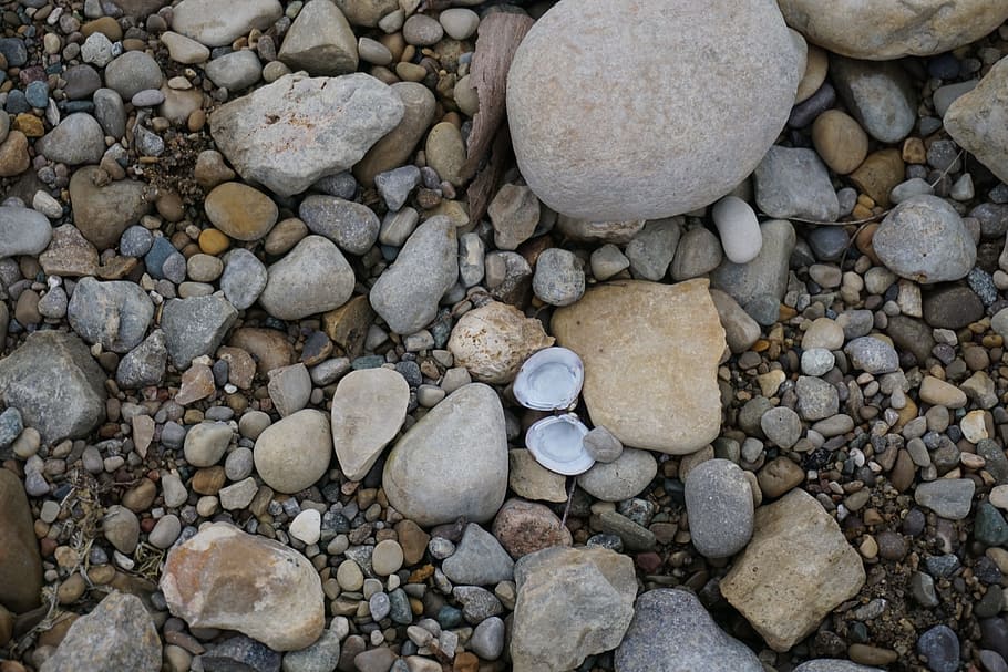 rocks, shell, lake, nature, stone, sand, beach, summer, travel HD wallpaper