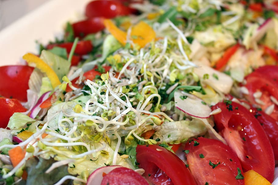 salad, buffet, cold buffet, delicious, hearty, food, benefit from HD wallpaper