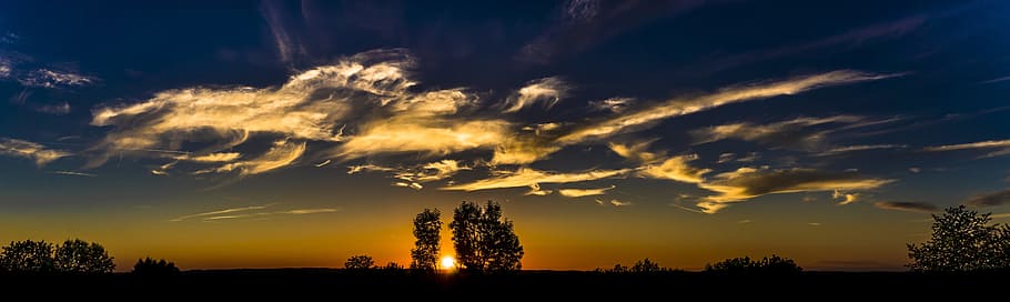 photography of leafed trees under blue and brown sky at golden hour HD wallpaper