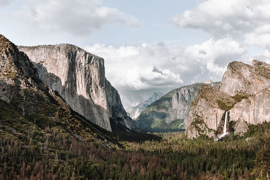 YOSEMITE, cliff, mountain, forest, tree, cloud, nature, landscape HD wallpaper