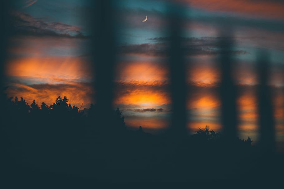 crescent moon above forest during nightime, silhouette of tree under clouds HD wallpaper