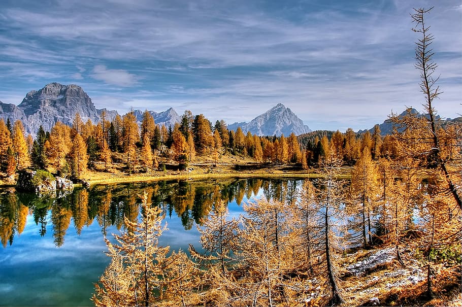 calm body of water surrounded by trees during daytime, dolomites HD wallpaper