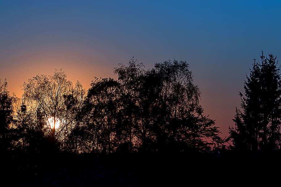 sunset, dusk, abendstimmung, evening sky, golden light, himmelröte HD wallpaper