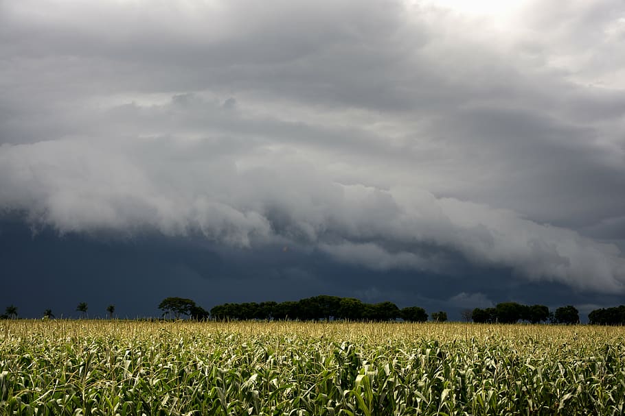 storm, rain clouds, sol, flying, sunshine, sky, beautiful, clouds in the sun HD wallpaper