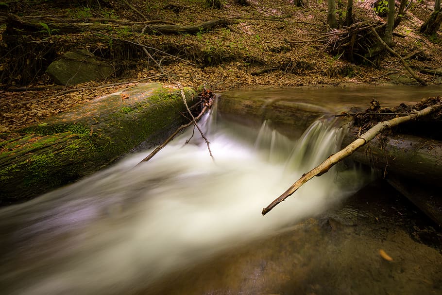 wood, light, landscape, nature, creek, environment, fall, flow HD wallpaper