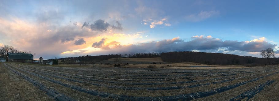 Sunset, Farm, Clouds, Field, Nature, sky, landscape, agriculture HD wallpaper