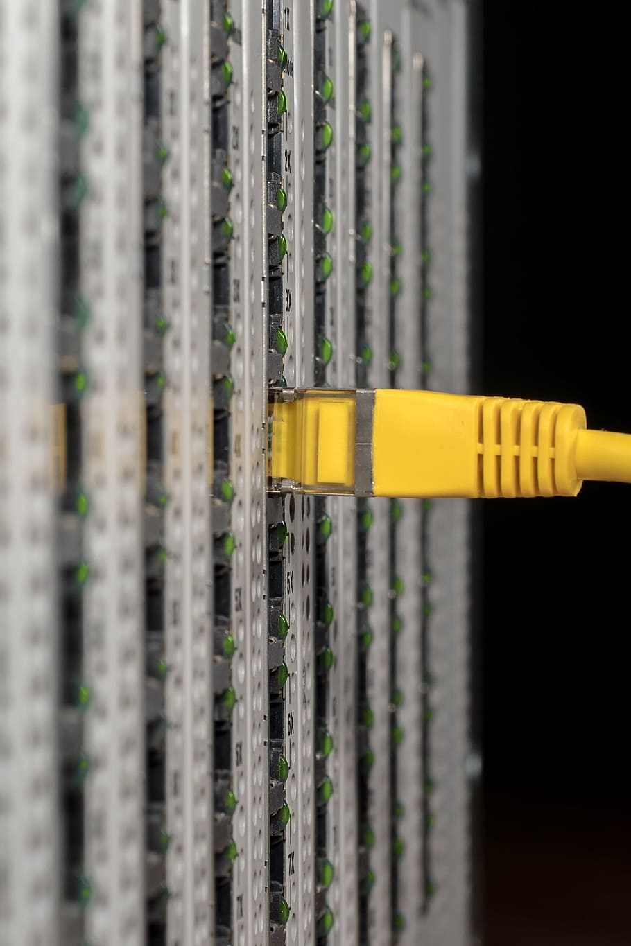 yellow electrical cable, it, server, server cabinet, network, HD wallpaper