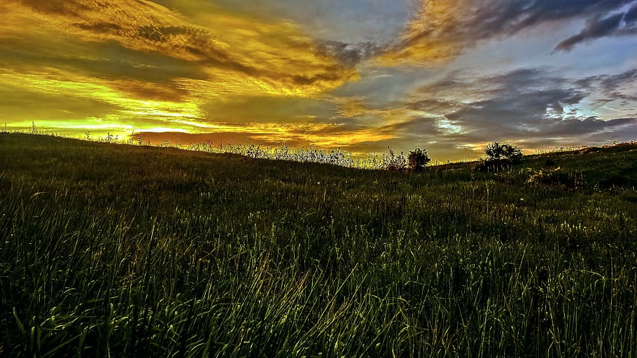 sunset, grass, silence, sunset sky, evening, cloud - sky, beauty in nature HD wallpaper