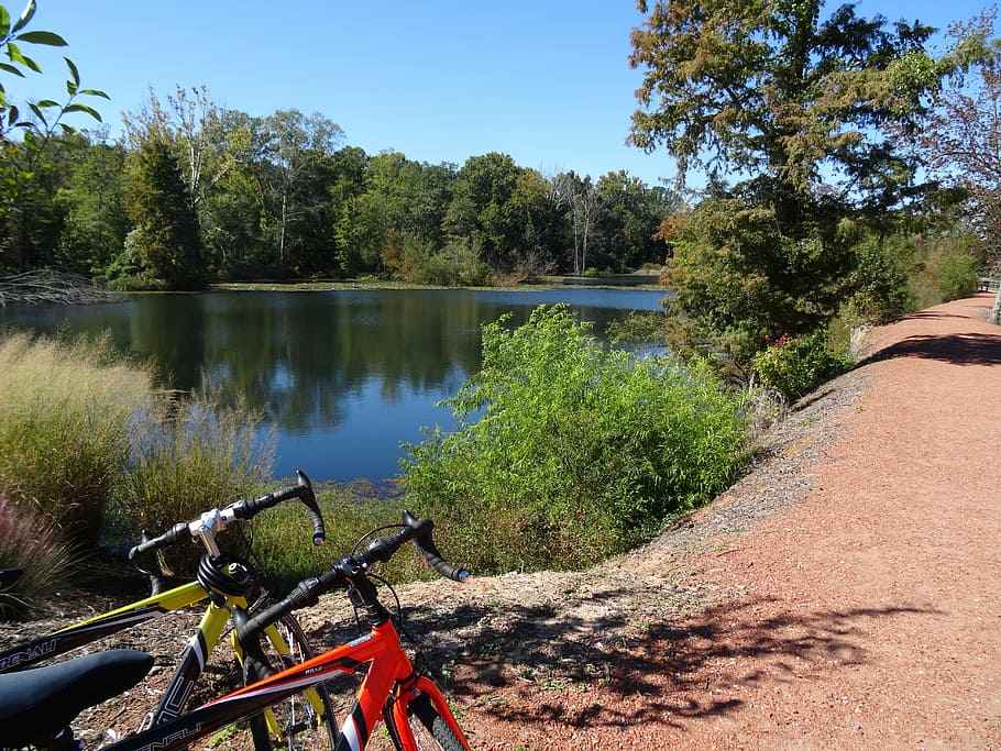 Cycling, Nature, Excursion, more, bicycle tour, relax, tree HD wallpaper