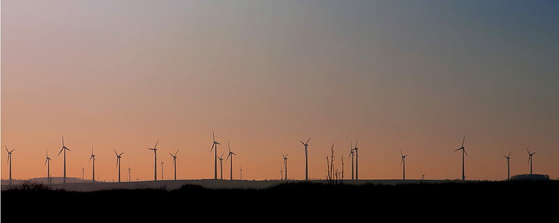 silhouette of windmills during golden hour, Wind Power, Energy HD wallpaper