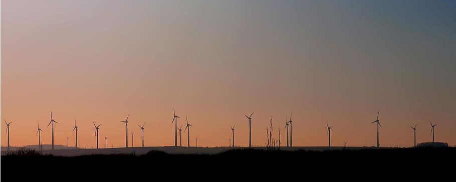 silhouette of windmills during golden hour, Wind Power, Energy HD wallpaper