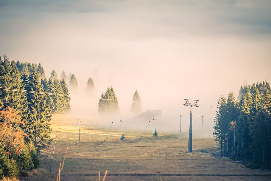 fog, clouds, trees, cableway, light, landscape, nature, sky HD wallpaper