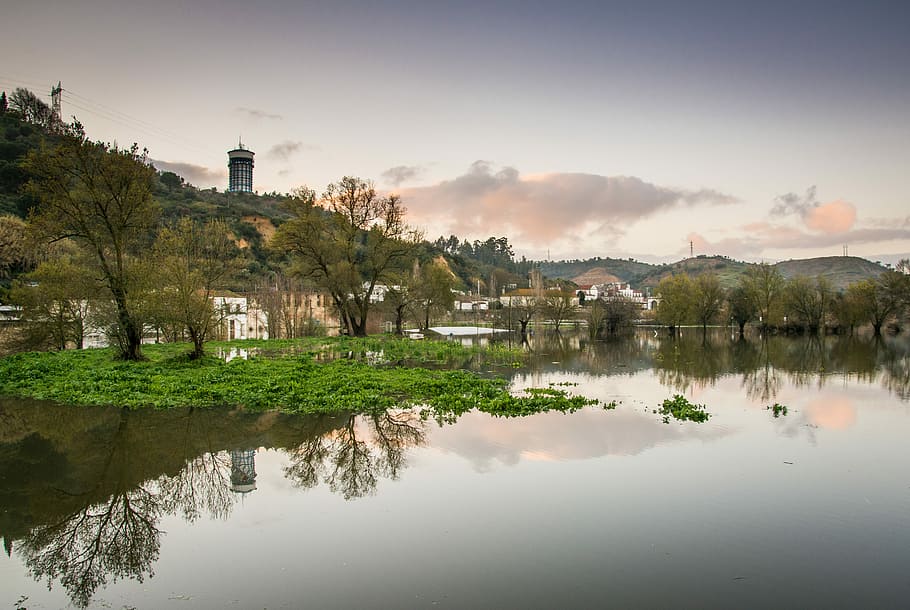 lake near houses, village near the body of water, tree, reflection HD wallpaper