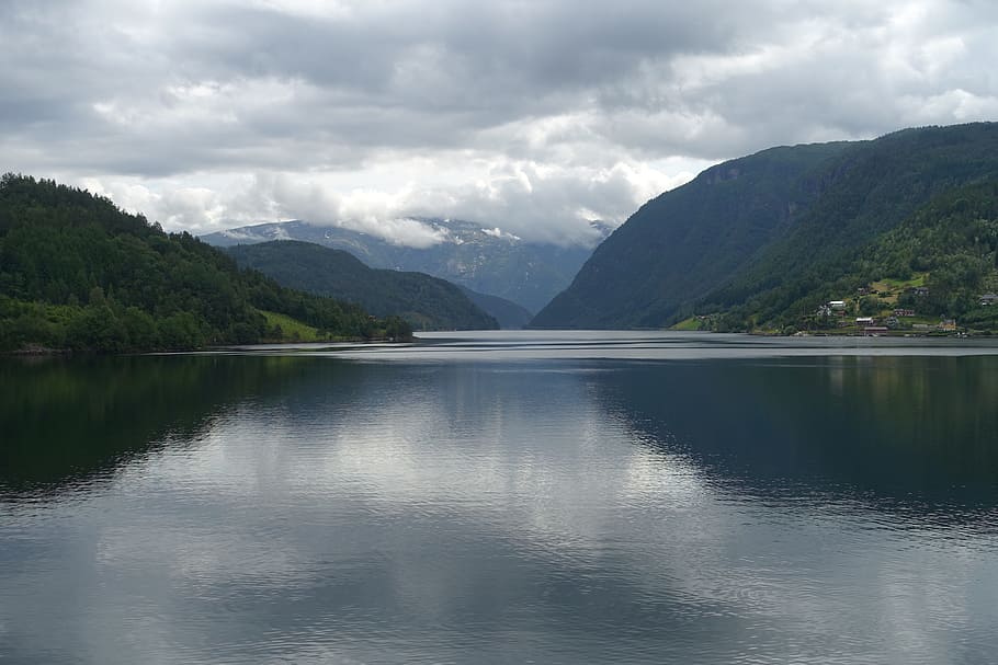 fjord, norway, hardanger, ulvik, nordic, cruise, tourism, landscape, HD wallpaper