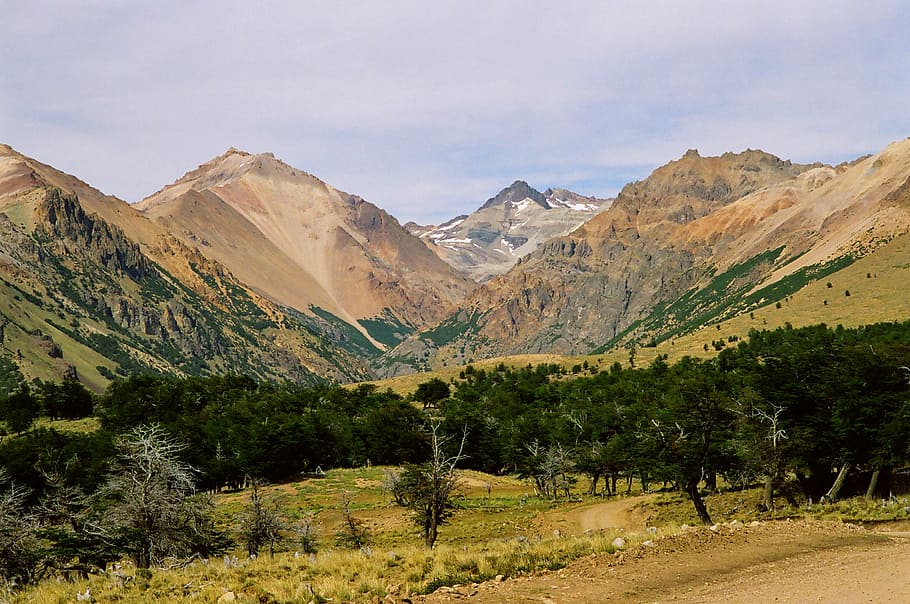 patagonia, mountains, nature, fields, lawn, forest, trees, mountain range HD wallpaper