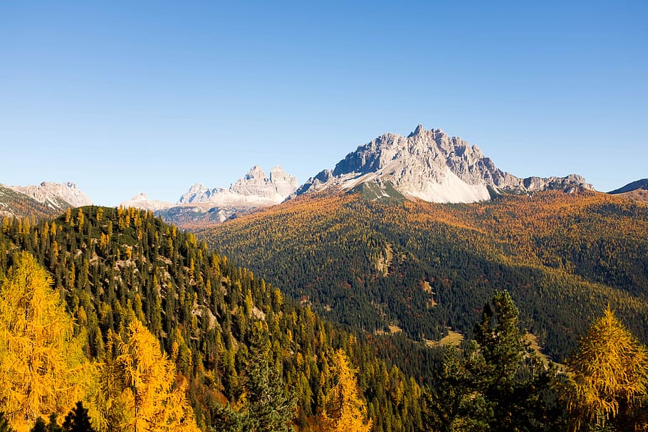 alp mountain near forest, landscape photography of a mountain HD wallpaper