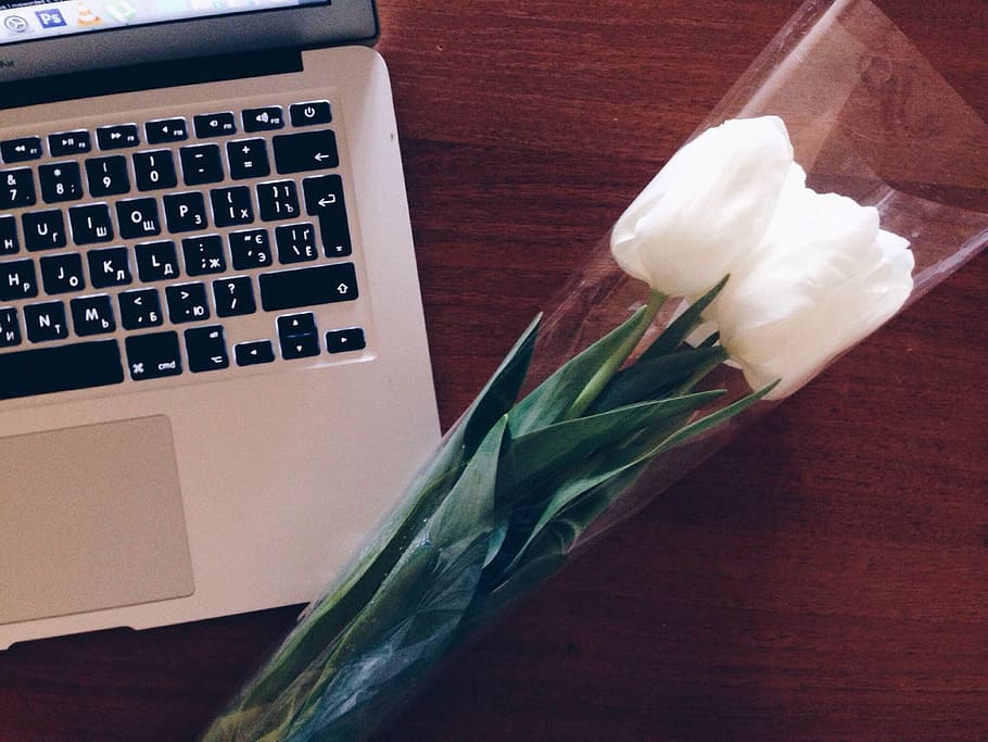 white tulips near silver MacBook, laptop, computer, technology HD wallpaper