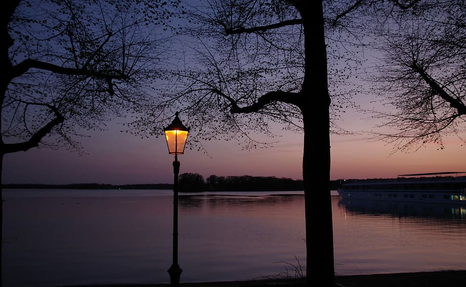 sunset, blue hour, lantern, summer, tree, reflection, waters HD wallpaper