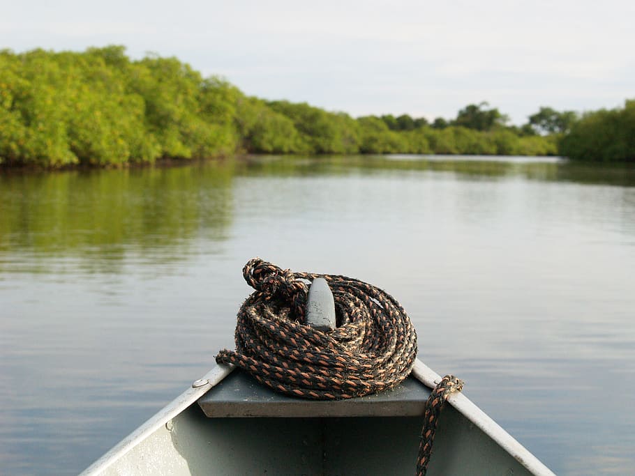 canoe, river, jungle, rep, nautical Vessel, lake, nature, rope HD wallpaper