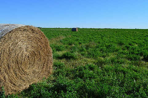 hay bale, haystack, nature, prairie, harvest, straw, rural HD wallpaper