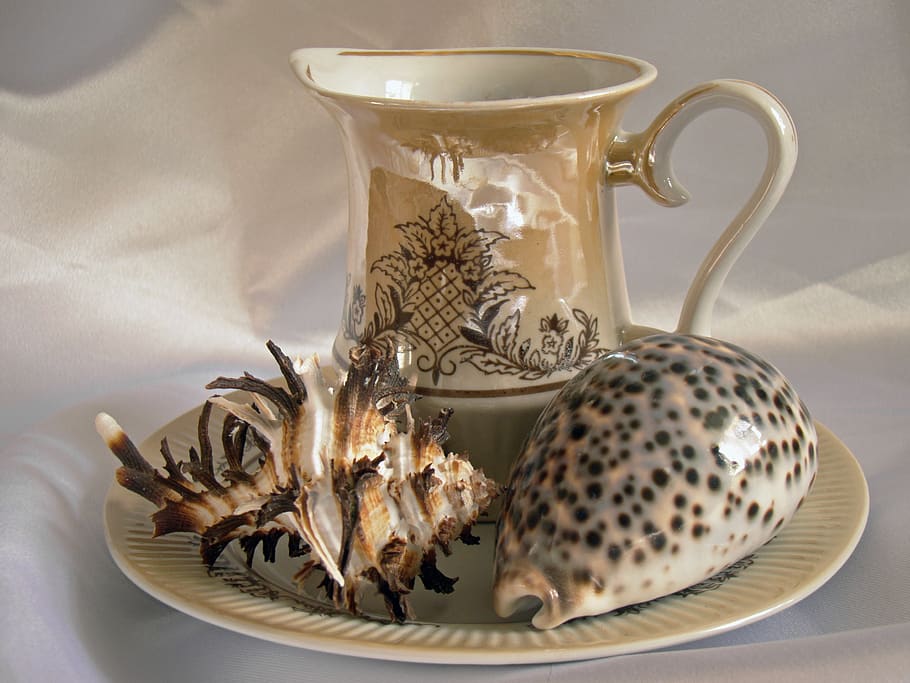 still life, seashells, tableware, composition, cup, food and drink HD wallpaper