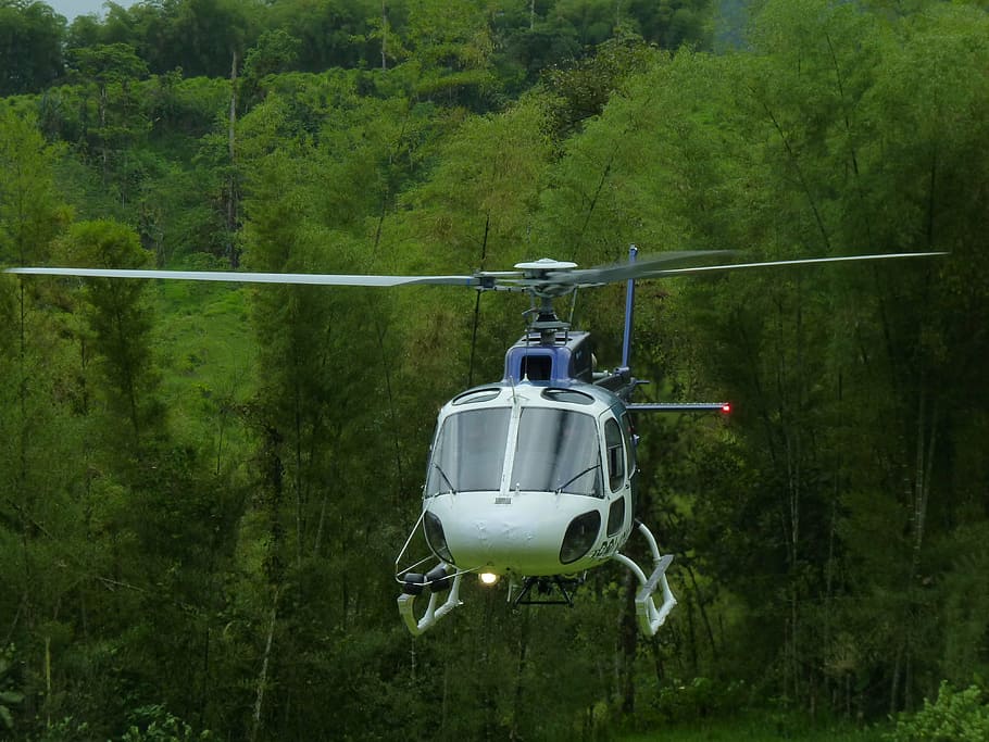 helicopter, flight, jungle, fly, green, rotors, security, plant HD wallpaper