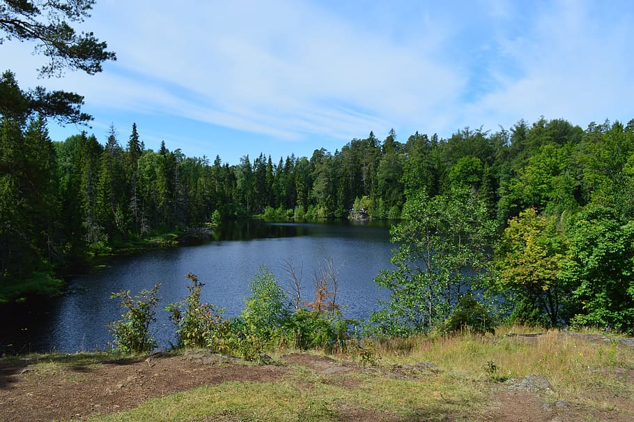 Lake, Balaam, handsomely, nature, tree, forest, landscape, scenics HD wallpaper