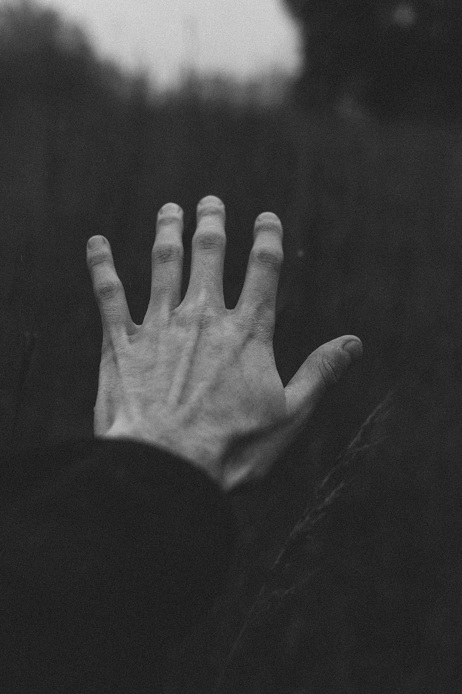 Hd Wallpaper Grayscale Photo Of Left Persons Hand Fingers Man Male Dark Wallpaper Flare 4382